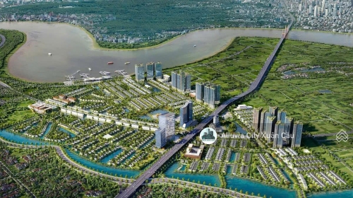Dự án Alluvia City Xuân Cầu