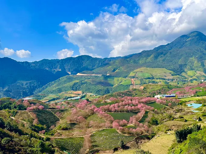 Khu đô thị sinh thái đồi chè Ô Qúy Hồ